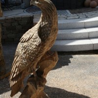 adler
