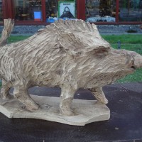 wildschwein