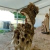 Fertige_Skulpturen