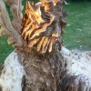 Igor Loskutow  Kunst mit Kettensäge, Schnitzerei, Skulptur: festival_der_natur_-_12