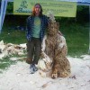 Igor Loskutow  Kunst mit Kettensäge, Schnitzerei, Skulptur: festival_der_natur_-_17