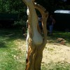 Igor Loskutow  Kunst mit Kettensäge, Schnitzerei, Skulptur: festival_der_natur_-_23