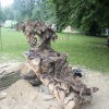 Igor Loskutow  Kunst mit Kettensäge, Schnitzerei, Skulptur: _MG_6669