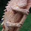 Igor Loskutow  Kunst mit Kettensäge, Schnitzerei, Skulptur: Chameleon_-_05