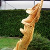 Chameleon