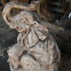 Elefant