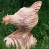Huhner_und_Pilze