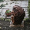 Igel