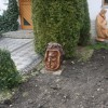 Igor Loskutow  Kunst mit Kettensäge, Schnitzerei, Skulptur: Igel_-_04