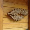 Namensschild_fuer_Haus