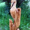 Paradiesvogel