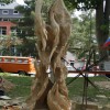 Igor Loskutow  Kunst mit Kettensäge, Schnitzerei, Skulptur: _MG_7718