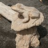 Sitzbaenke_mit_Tiermotiven
