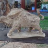 Wildschwein