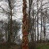 Igor Loskutow  Kunst mit Kettensäge, Schnitzerei, Skulptur: IMG_0943