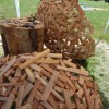 Igor Loskutow  Kunst mit Kettensäge, Schnitzerei, Skulptur: DSC02338