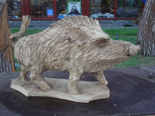 wildschwein