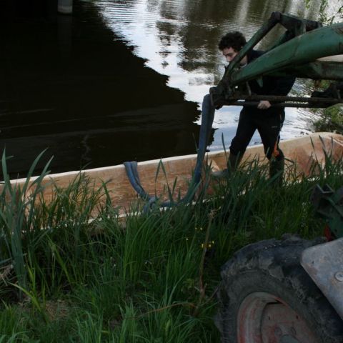 IMG 8692