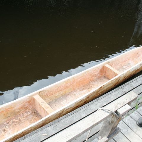 IMG 8708