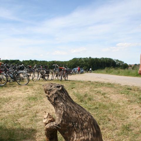 IMG 8760