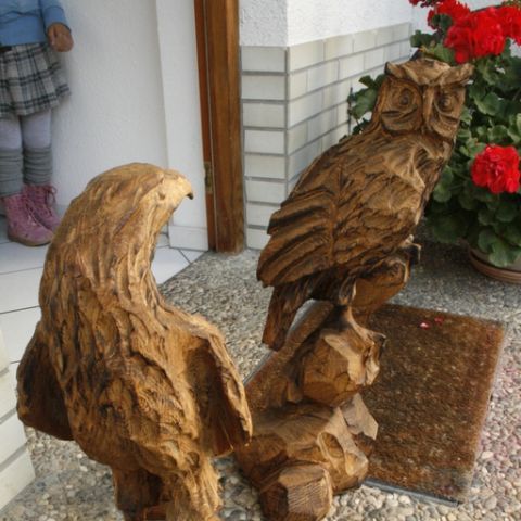 Miniadler - 06