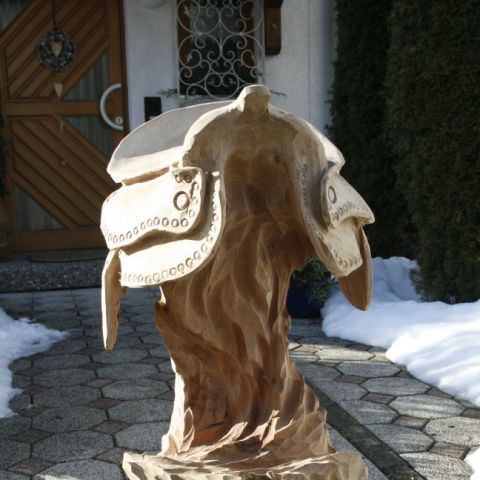 Pferdesattel 005
