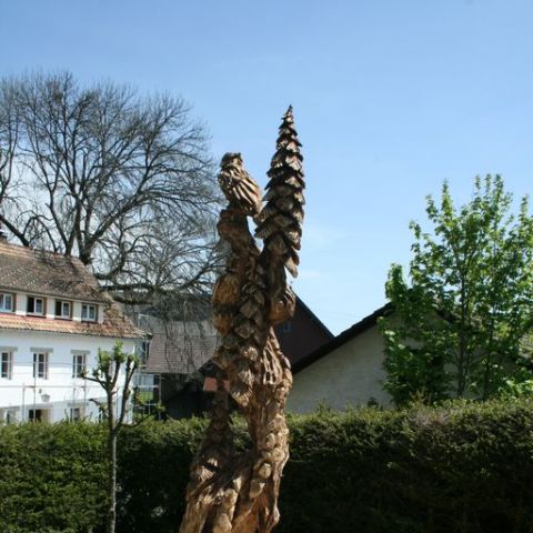 IMG 5776