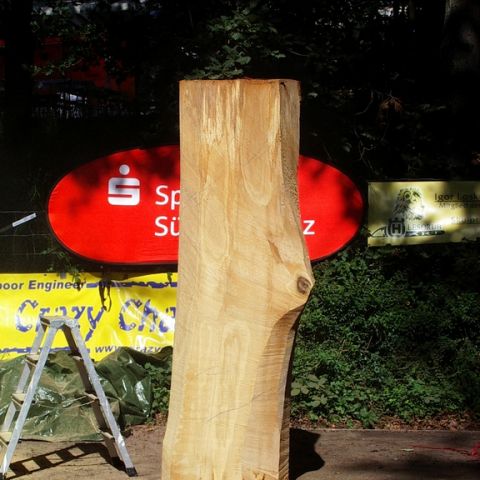 Treffen bei Sigurd - 07