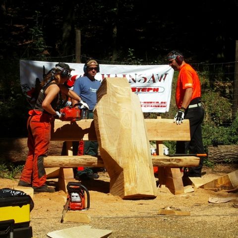 Treffen bei Sigurd - 09