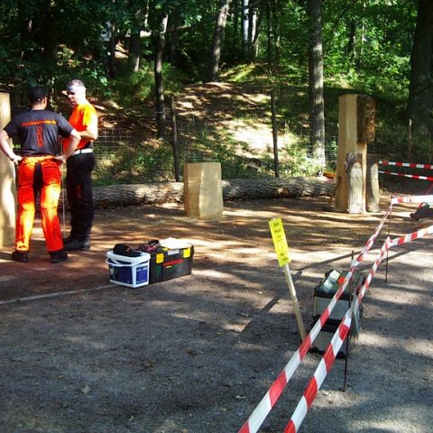 Treffen bei Sigurd - 49