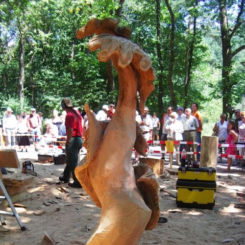 Treffen bei Sigurd - 51