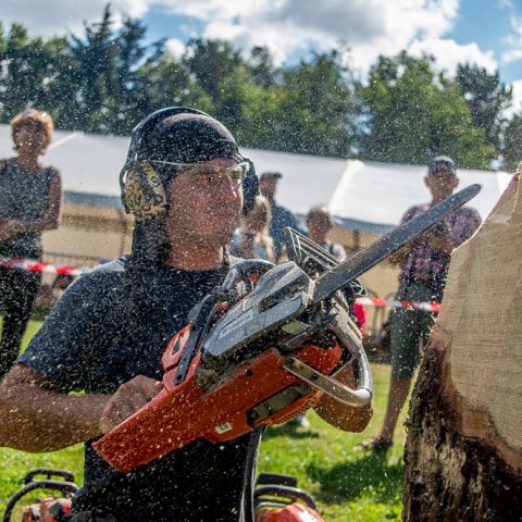 BLOCKHUS DAY2 Speedcarving 448