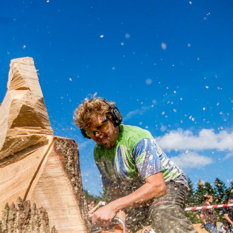 BLOCKHUS DAY2 Speedcarving 478