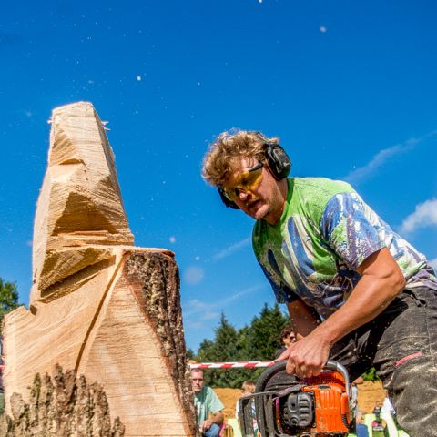 BLOCKHUS DAY2 Speedcarving 479