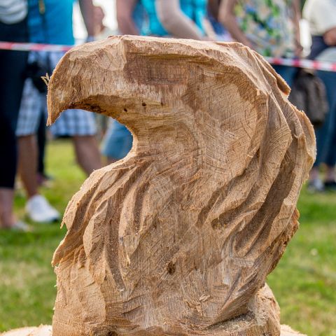 BLOCKHUS DAY2 Speedcarving 525