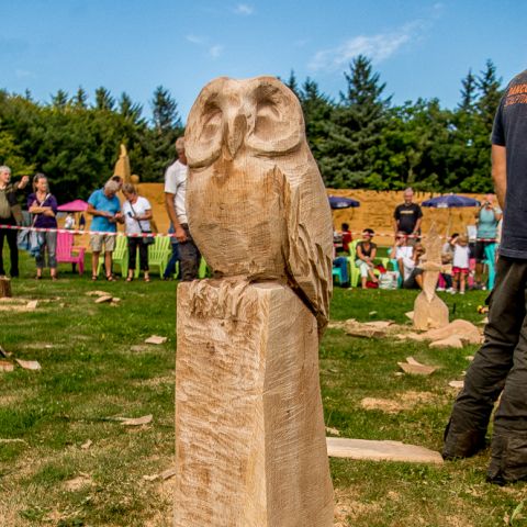 BLOCKHUS DAY2 Speedcarving 530