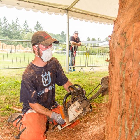 BLOCKHUS DAY1213
