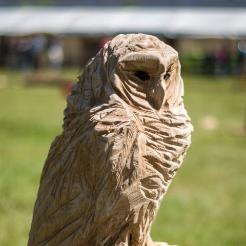 BLOKHUS DAY1171