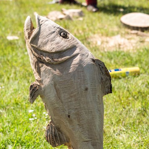 BLOKHUS DAY1181