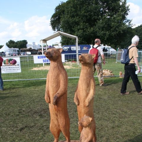 English Open 08 - 24