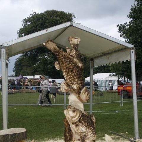 English Open 08 - 62