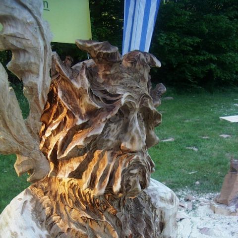festival der natur - 04
