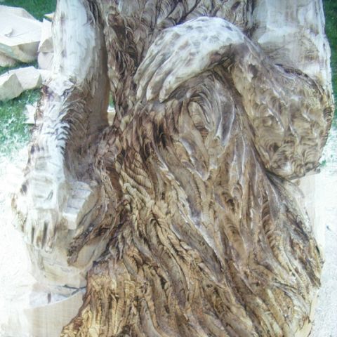 festival der natur - 09