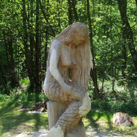 festival der natur - 18