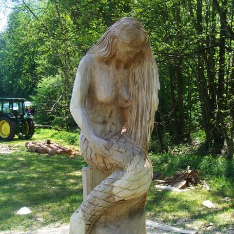 festival der natur - 20