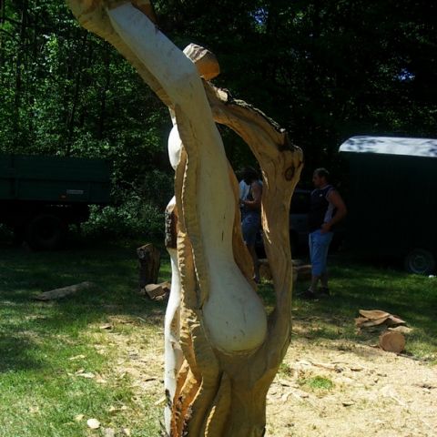 festival der natur - 23