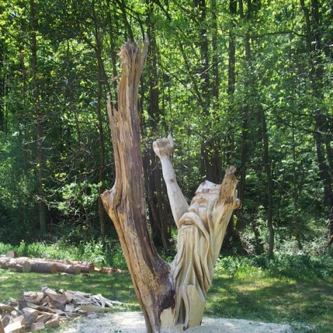 festival der natur - 28