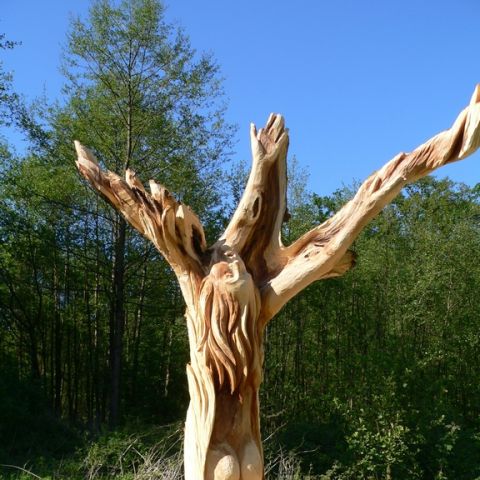 festival der natur - 84