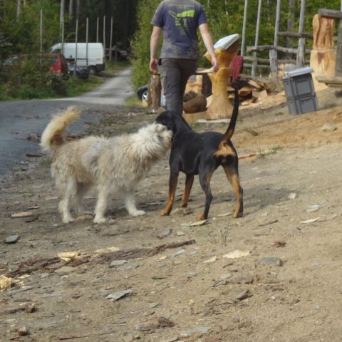 DSC03558
