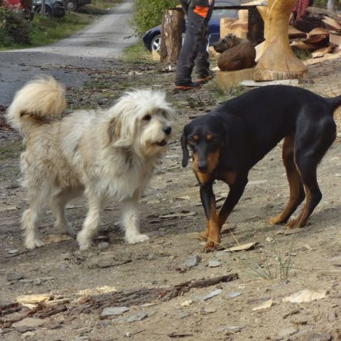 DSC03559